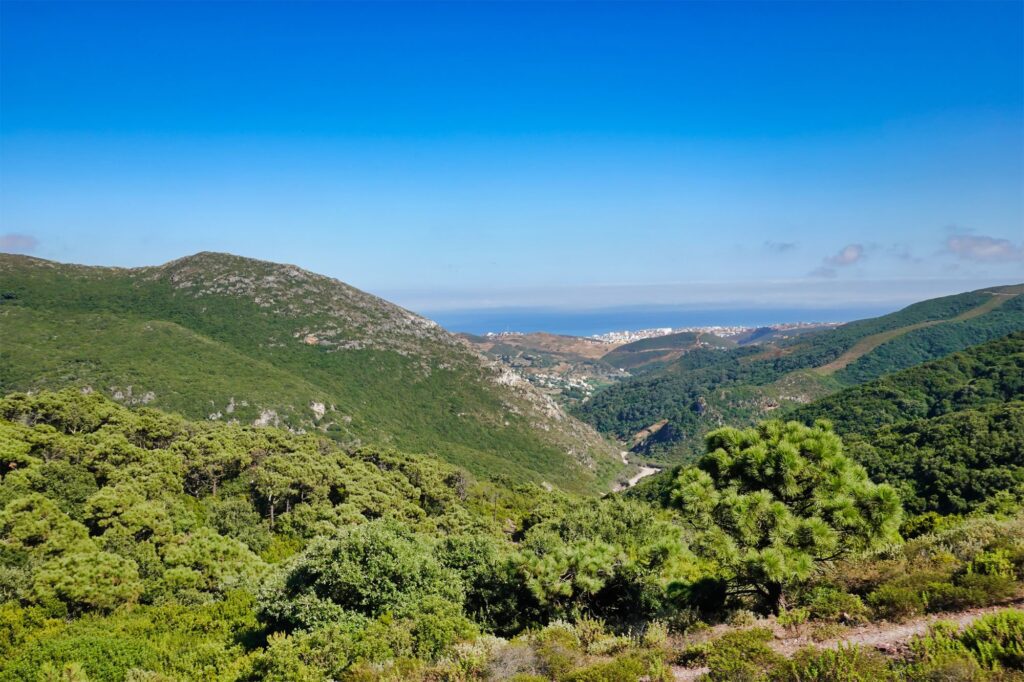 Απάτητα Βουνά: Σμόλικας, Πάρνωνας, Τύμφη Θωρακίζονται με Νέα Προστασία κατά Ανεμογεννητριών