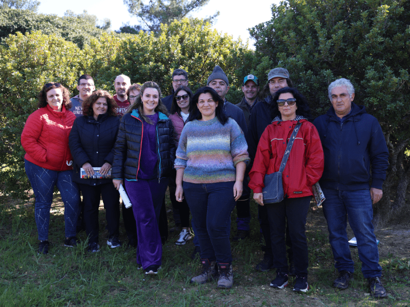 Έναρξη των μαθημάτων του Προγράμματος «Μαστιχόδεντρα: Διασφαλίζοντας το μέλλον ενός εθνικού προϊόντος» για το 2026